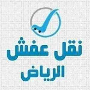 دينا طش الأثاث القديمة بحي الملقا