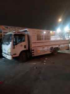 دينا طش الاثاث القديم بالرياض حي الياسمين 053